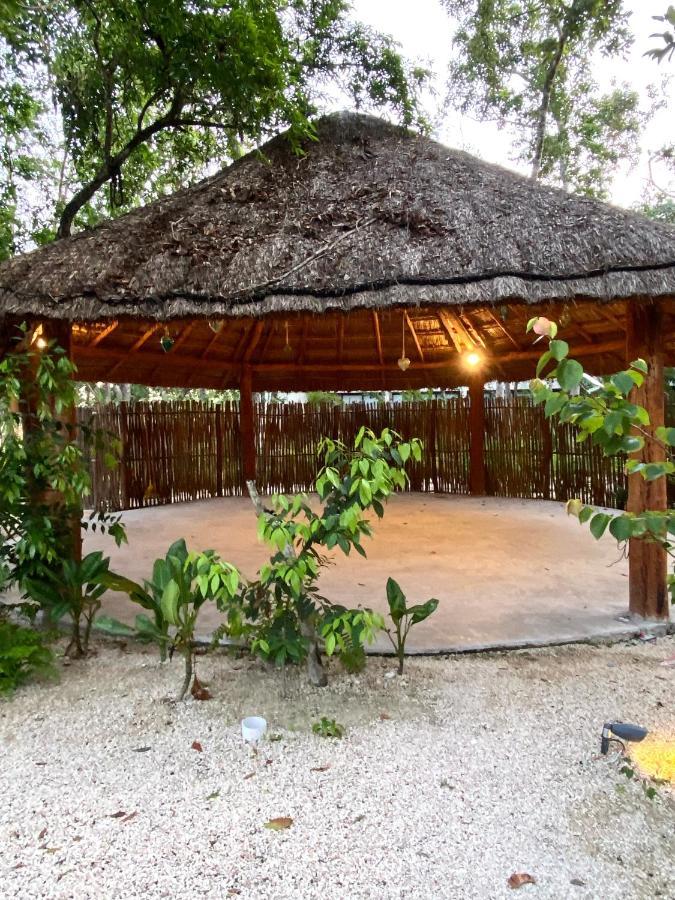 *Casa Tropical* Penthouse With Rooftop & Private Pool Appartement *