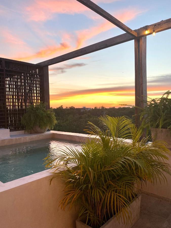 Apartment *Casa Tropical* Penthouse With Rooftop & Private Pool *